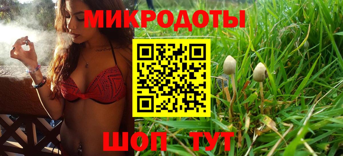 Галлюциногенные грибы мухоморы Луга